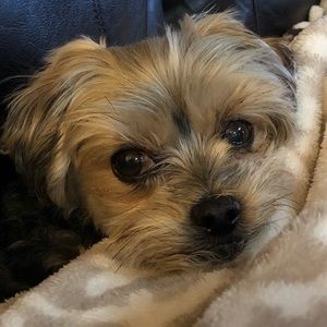 Meet your Posher, Nadia